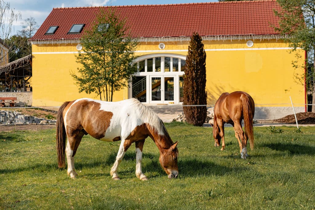 Mlýn Drásov